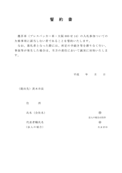 誓約書 別紙(3) (PDF: 71.6KB)