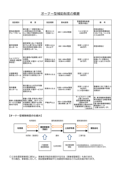 オーナー型補助制度の概要