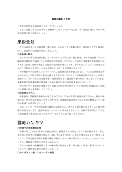果樹全般 露地カンキツ