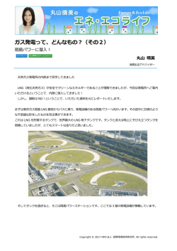 記事全文（PDF） - NPO法人 国際環境経済研究所｜International