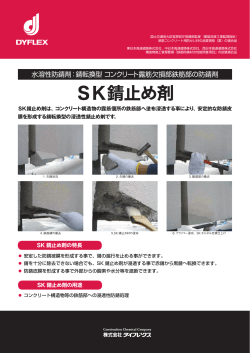 SK錆止め剤 - 株式会社ダイフレックス