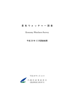 調査結果（全体版）（PDF形式：499KB
