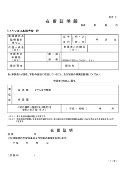 形式2 - 在メキシコ日本国大使館