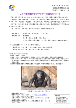 いしかわ動物園のチンパンジーの死亡について