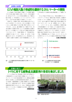 栃木県農業試験場 ニュース