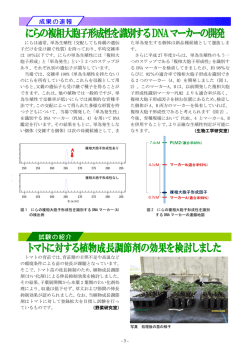 栃木県農業試験場 ニュース
