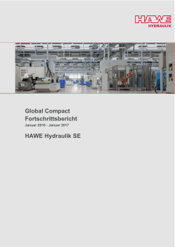Global Compact Fortschrittsbericht HAWE Hydraulik SE