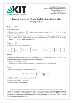 Übungsblatt 11 - Fakultät für Mathematik