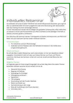Individuelles Reitseminar