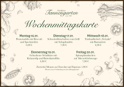 2017 - Gasthaus Tannengarten - Mittagskarte