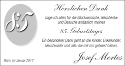 Josef Mertes
