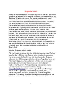 Ing. Daniel B&ouml;swirth