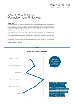 e-Commerce Profiling Wegweiser zum Königsweg