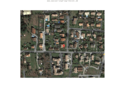 2 - Cap Ferret