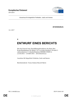 DE DE * ENTWURF EINES BERICHTS