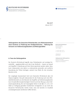 DRB-Stellungnahme Nr. 06/17