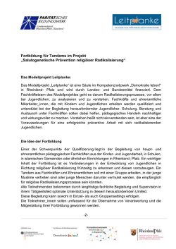 Hinweise - Modellprojekt Leitplanke