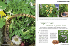 Superfood - Mein schöner Garten