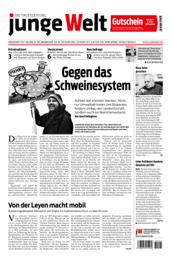 Schweinesystem
