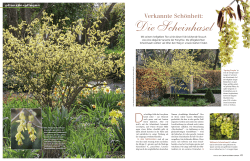 PDF-Datei - Mein schöner Garten