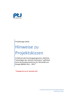 Hinweise zu Projektskizzen