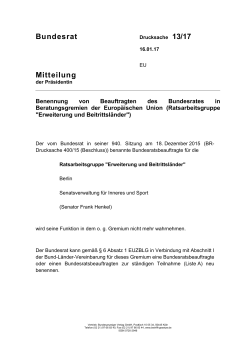BR 13/17 Grunddrucksache (PDF, 74KB, nicht barrierefrei)
