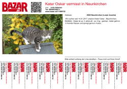 Kater Oskar vermisst in Neunkirchen