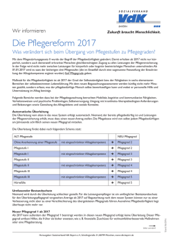 Infoblatt "Plegebed&uuml;rftig? Vom Antrag zur Leistung"