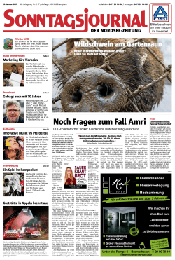 Noch Fragen zum Fall Amri