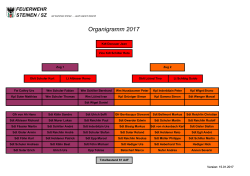 Mannschaft-Organigramm 2017