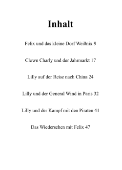 Ein Luftballon geht auf Reisen_Layout1