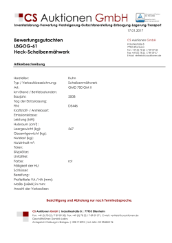 Zusatzdokument - Zoll