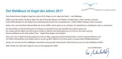 J&auml;ger der Nacht &ndash; der Waldkauz