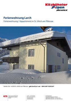 Ferienwohnung Larch in St. Ulrich am Pillersee