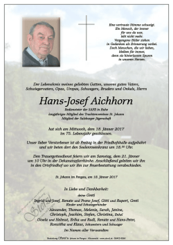 Hans-Josef Aichhorn