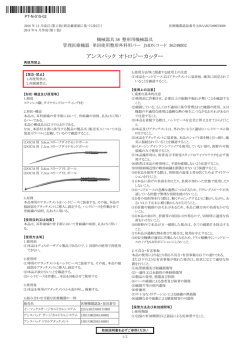 PDFファイル