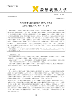 正体は「野良ブラックホール」か？