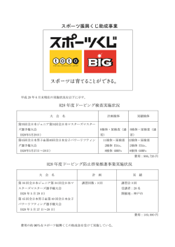 助成事業中間報告