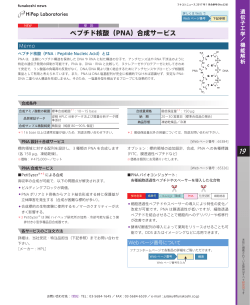 ダウンロード