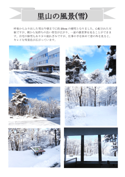 里山の風景(雪)