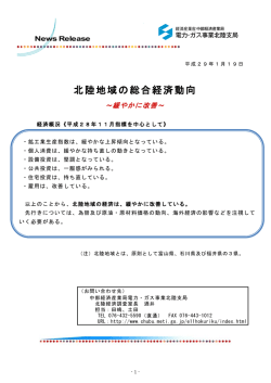 北陸地域の総合経済動向E