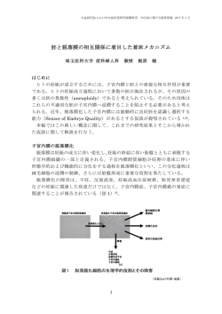 梶原健先生 - 山口内分泌疾患研究振興財団
