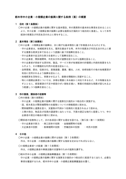 栃木市中小企業・小規模企業の振興に関する条例（案）の概要