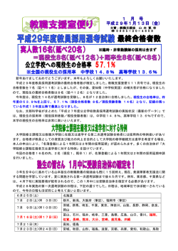 （平成29年1月）（pdf形式：516KB）