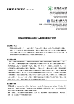 （理学研究院 講師 角井敬知）（PDF）