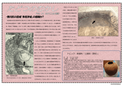 ・香川氏の居城「多度津城」の痕跡か?