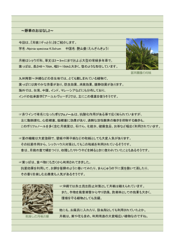 ～野草のおはなし2～