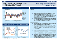 MRI Daily Economic Points