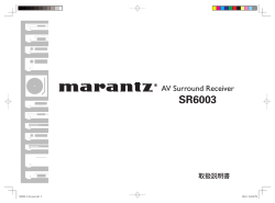 SR6003