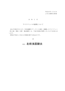 ワイドバッハの故障について